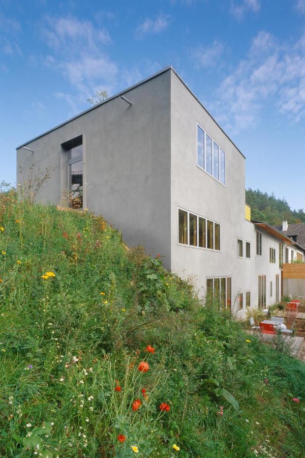 Seehaus Forelle Haeckenhaus Ramsen Екстер'єр фото